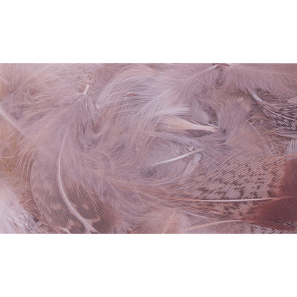 Baetis Hungarian Partridge